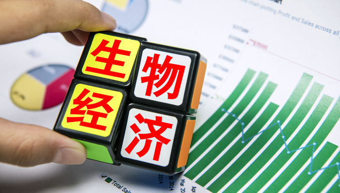 发改委：发展面向绿色低碳的生物质替代应用