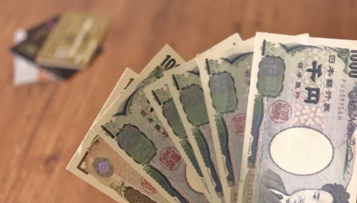 金融,贫富差距,性别平等,外国文学,日本历史,白领