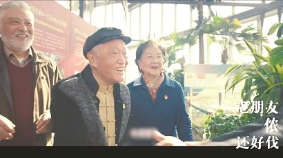 上海美术电影制片厂,上海国际电影节,上海电影制片厂,上影,1921,爱情神话,红旗颂,护士日记,女篮