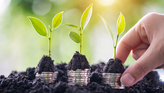 中国啤酒一路“向高”