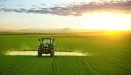 印度禁止小麥出口，農(nóng)業(yè)、化肥板塊大漲