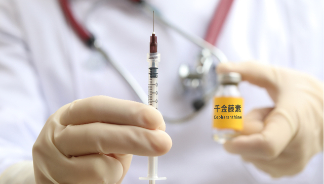 千金藤素有望治疗新冠？和双黄连一样连人体试验都没做