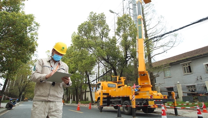 复工复产，国网电力,上海,疫情,配电,供电