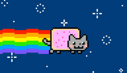 一只小猫匆忙来过