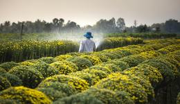 多家高校新增“智慧農(nóng)業(yè)”相關(guān)專業(yè)，如何再培養(yǎng)500萬新農(nóng)人？