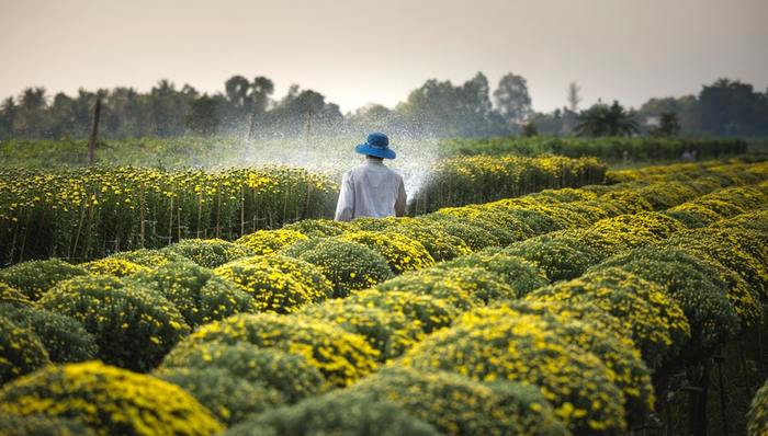 高校,农业,高等教育,人才培养