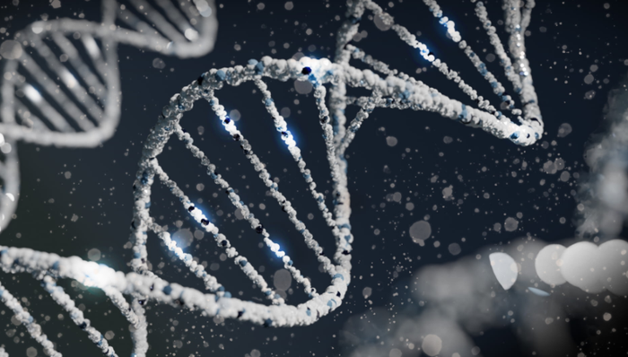 基因测序,IPO,市场份额,世和基因