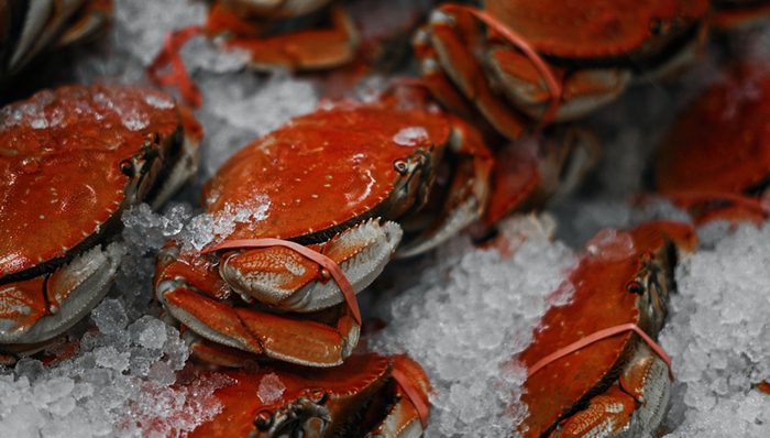 预制菜,消费趋势,资本市场,鲜美来,IPO,信息披露