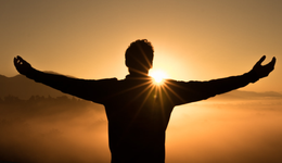 洋河股份：张联东上任1年来的4个关键词