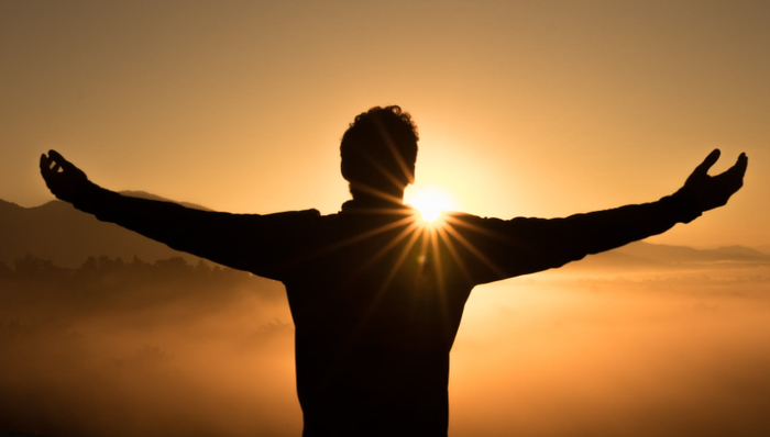 洋河股份,市值,股权激励