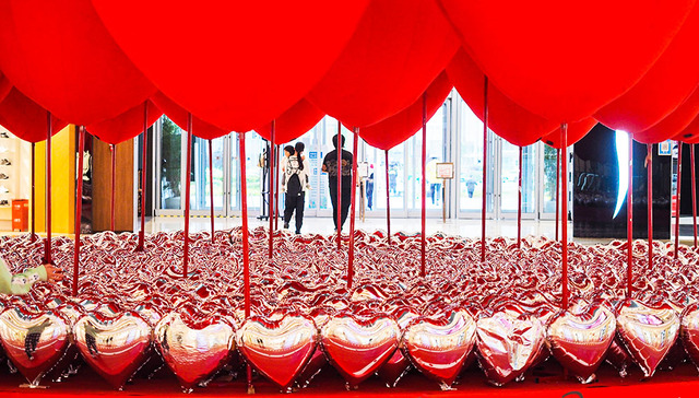 【图集】玫瑰花海，爱心矩阵：520点燃“浪漫经济”