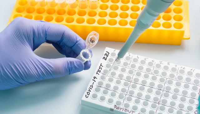 “15分钟核酸采样圈”逐步铺开，如何保证又快又准？