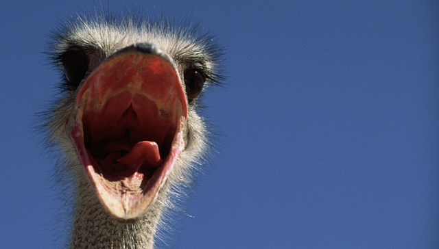 我珍视自己的愤怒，也珍视别人的愤怒 | 一周新书推荐