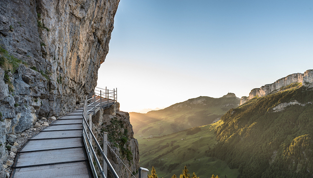 524万股司法拍卖，细数康泰生物杜伟民 “步步惊心”的发迹史