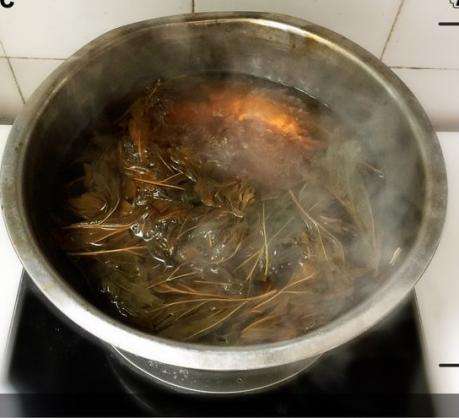 中药熏蒸可用于居家消毒