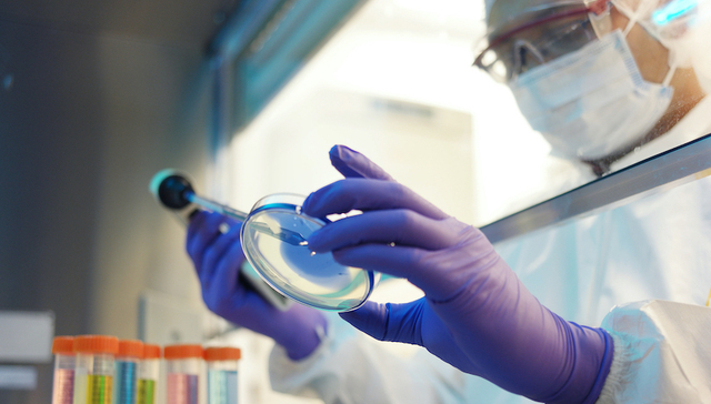 欧美多国爆发猴痘疫情，或存在多条不明传播链