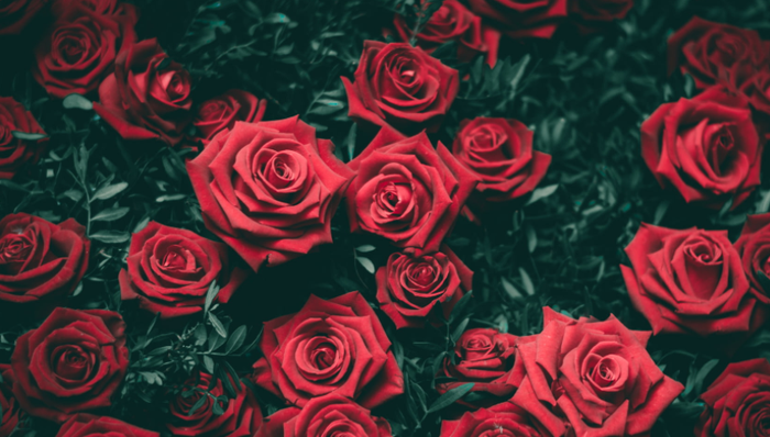 垂类电商,美团,即时配送