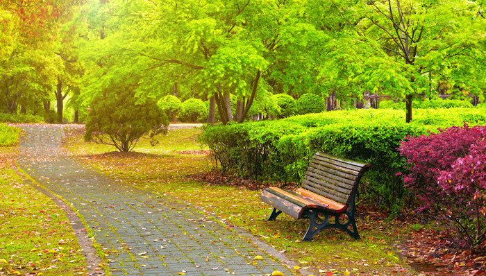 上海，疫情，防控，公园，绿化,发布会,上海市绿化市容局