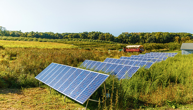 【独家】特变电工回应子公司建光伏电站毁麦事件
