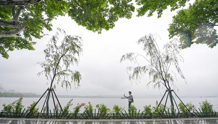 城市规划,人与自然,植物