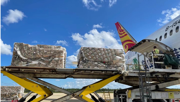 货运净利同比增长150%，海航为员工发放千万元利润提成奖励