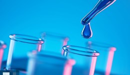 地方新聞精選 | 安徽蕪湖將啟用“核酸檢測證” 哈爾濱今起有序恢復(fù)生產(chǎn)生活秩序