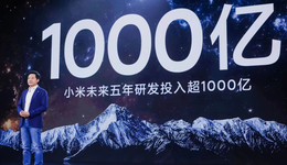 小米：从顺势而为到逆势而上