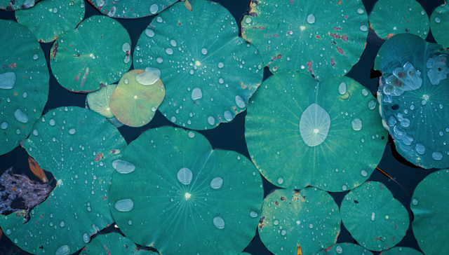 合成生物赛道元年之后：殊途同归的路线和焦虑的投资人 | 新风口