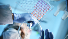 效果不如预期？新冠口服药三期临床结果出炉，君实生物盘中20CM跌停