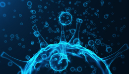 猴痘防治概念熄火了？百克生物等跌幅居前，十余家上市公司最新回应来了