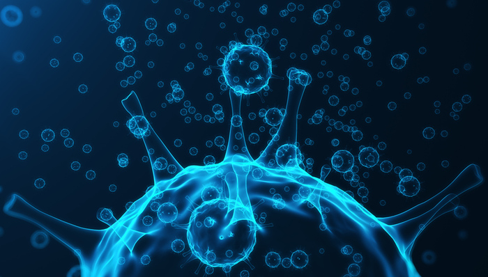 猴痘,达安基因,试剂