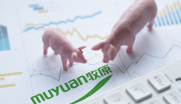 牧原股份的猪，还能“飞”几时？