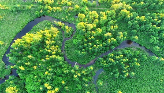 中国气候变化事务特使解振华率团出席2022年世界经济论坛年会