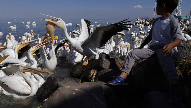 2690.91万美元，世界银行批准中国绿色和碳中和城市项目