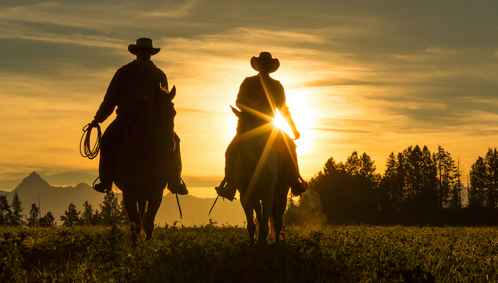 美国社会,天下故事