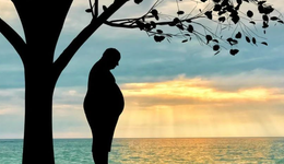 胖人更该补点维C，因为脂肪会一点点把营养“偷”走