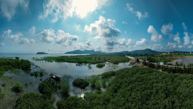协同保护筑牢生态屏障，保乐力加卓越实践树立行业模范