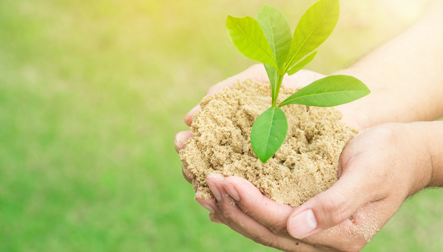 世界经济论坛值树倡议新进展：2030年恢复1万亿棵树