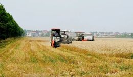 深入細(xì)致地開(kāi)展好全方位壓力測(cè)試，更加有效地“控”、更加主動(dòng)地“放”！李強(qiáng)在崇明檢查疫情防控和復(fù)工復(fù)產(chǎn)、復(fù)商復(fù)市情況