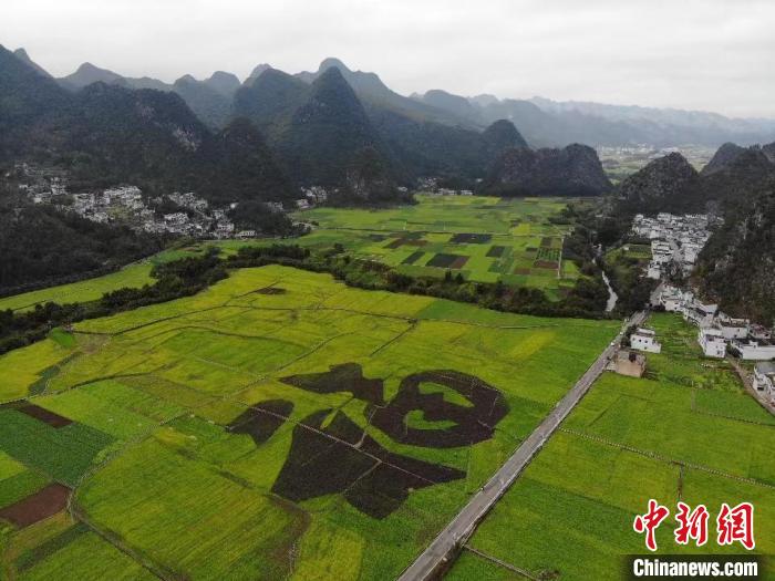 贵州兴义万峰林：整合资源创造更多绿色财富和生态红利