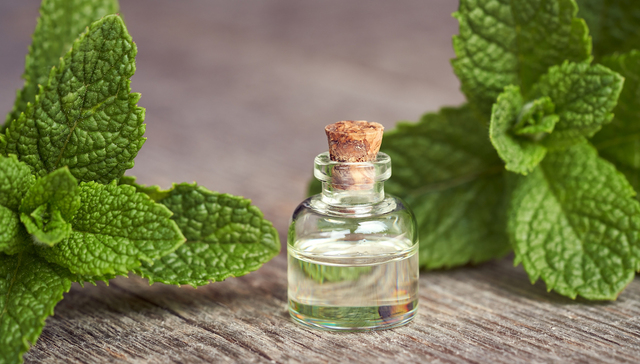 这家卖“味道”的公司要上市，但它过于紧抱绿箭大腿