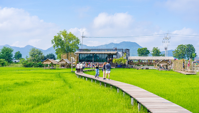 端午假期机票预订量环比上涨30%，跨省团队游整体交易额或超清明