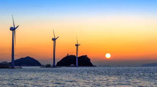 东方电缆,A股,投资,财报,能源