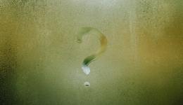 秦嗣新秦奋父子财富来源之谜