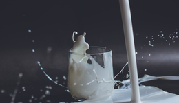 植物奶的健康故事，Oatly、伊利和六个核桃们讲完了？