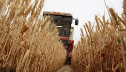 直通部委 | 11部門：嚴(yán)禁以防疫為由不讓農(nóng)民下地種田 水利部：6月1日全面進入汛期