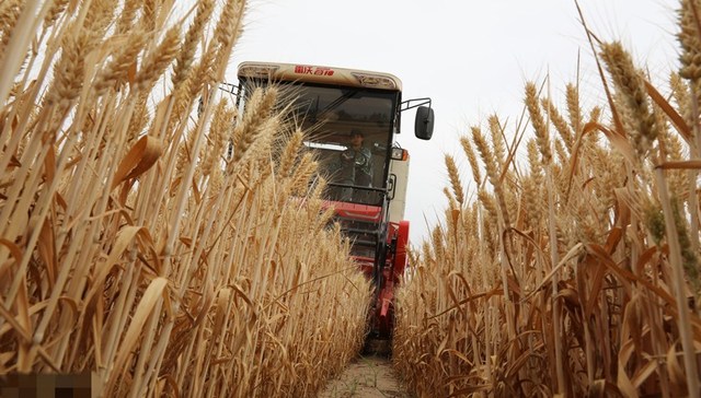 直通部委 | 11部门：严禁以防疫为由不让农民下地种田 水利部：6月1日全面进入汛期