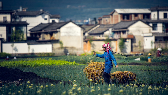 跨省游“熔断”机制松动，旅行社能否翻盘？