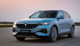 从SUV到MPV，岚图难跨高端