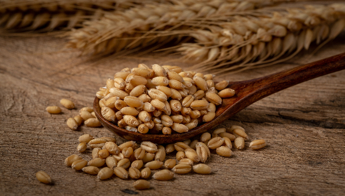 【评论】中国口粮安全有保障，但粮食供求结构性矛盾待解